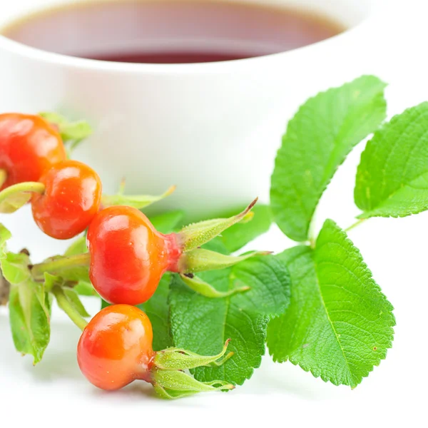 Cup of tea and rosehip berries with leaves on white background — Stock Photo, Image