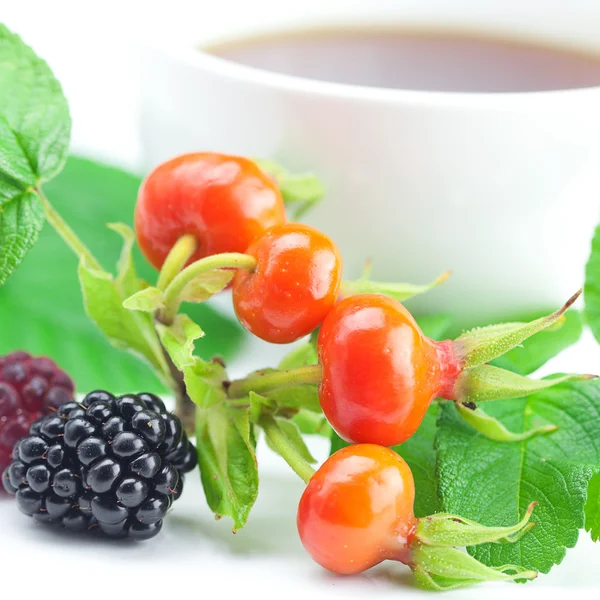 Cup of tea, blackberry,raspberry and rosehip berries with leaves — Stock Photo, Image