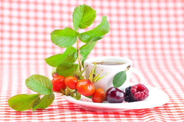 Cup of tea, blackberry,raspberry and rosehip berries with leaves Stock Image
