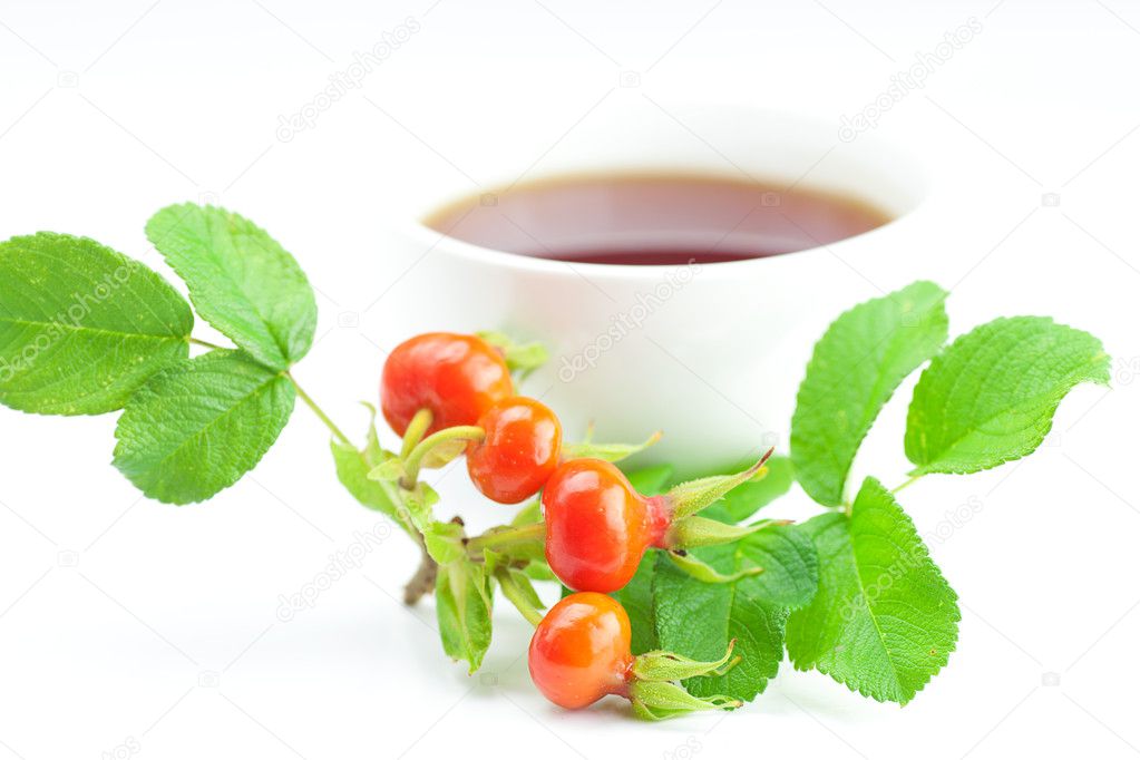 Cup of tea and rosehip berries with leaves on white background