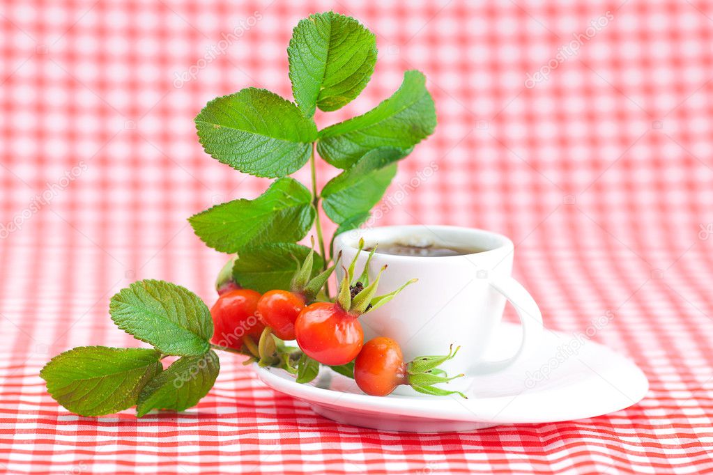 Cup of tea and rosehip berries with leaves on plaid fabric