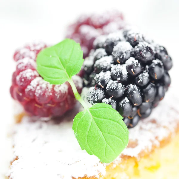 Cake met slagroom, framboos, blackberry en munt op een witte achterzijde — Stockfoto
