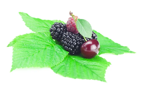 树莓、 黑莓、 樱桃和绿色叶片上白色黑色 — 图库照片