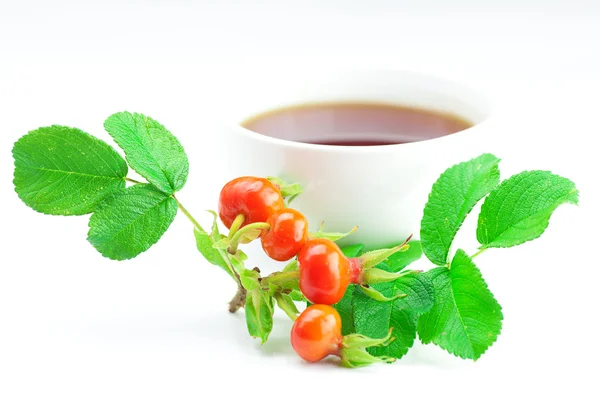Taza de té y bayas de rosa mosqueta con hojas sobre fondo blanco —  Fotos de Stock