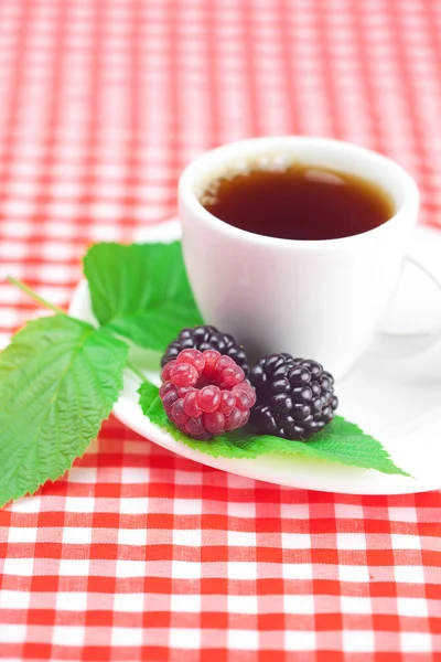 Taza de té, frambuesa y mora con hojas en tela a cuadros — Foto de Stock