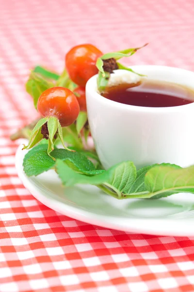 Чашка чая и ягод шиповника с листьями на клетчатой ткани — стоковое фото
