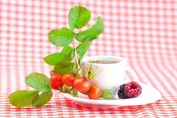 喝杯茶、 黑莓、 树莓和玫瑰果浆果与叶子 — 图库照片