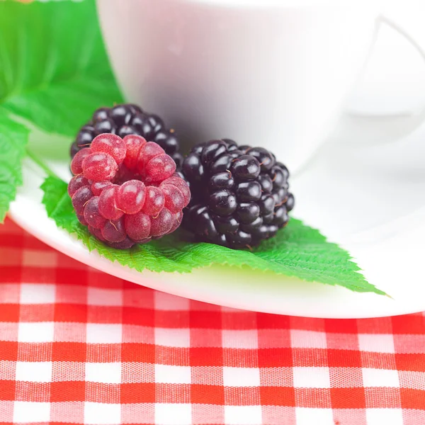 Cup of tea,raspberry and blackberry with leaves on plaid fabric — Stock Photo, Image