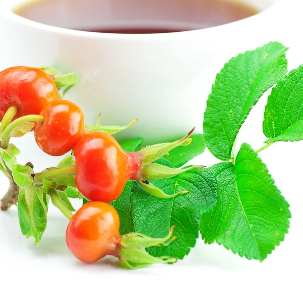 Šálek čaje a Šípkové plody s listy na bílém pozadí — Stock fotografie