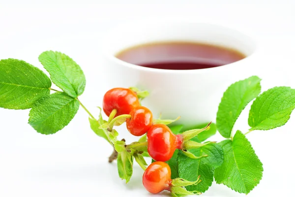 Cup of tea and rosehip berries with leaves on white background — Stock Photo, Image