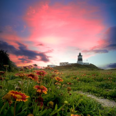 Lighthouse with nice view clipart