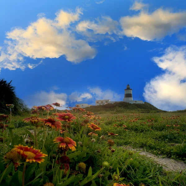 Faro con bonitas vistas — Foto de Stock