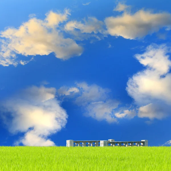 ライス フィールド緑の草の青い空 — ストック写真