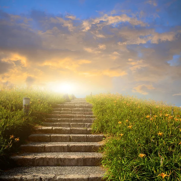Montaña prado de flores con escalera — Foto de Stock