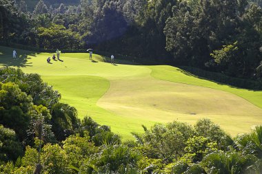 Golf yer harika yeşil