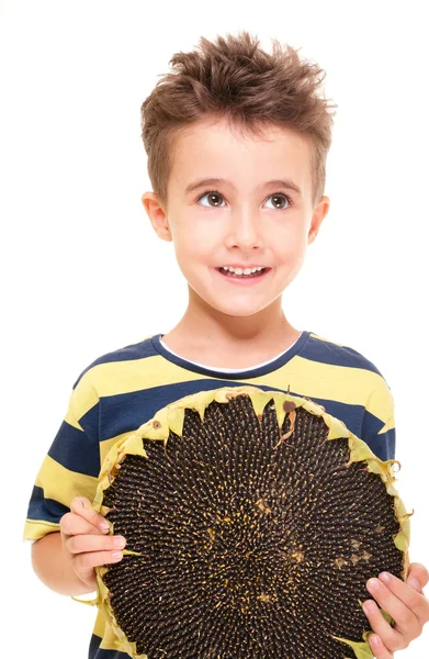 Маленький улыбающийся мальчик держит спелый подсолнух — стоковое фото