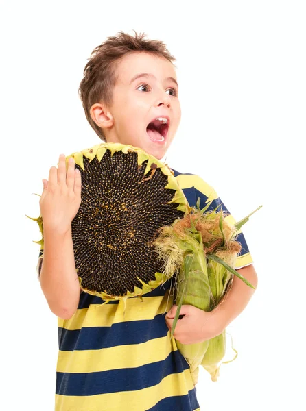 Niño pequeño sosteniendo maíz en la mazorca y girasol maduro — Foto de Stock