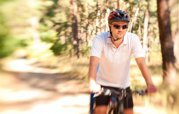 Man op de fiets in het zonnige forest — Stockfoto