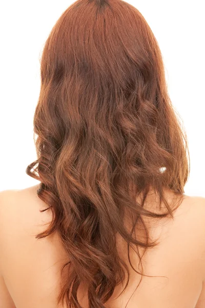 Žena s dlouhými vlasy ze zadní — Stock fotografie