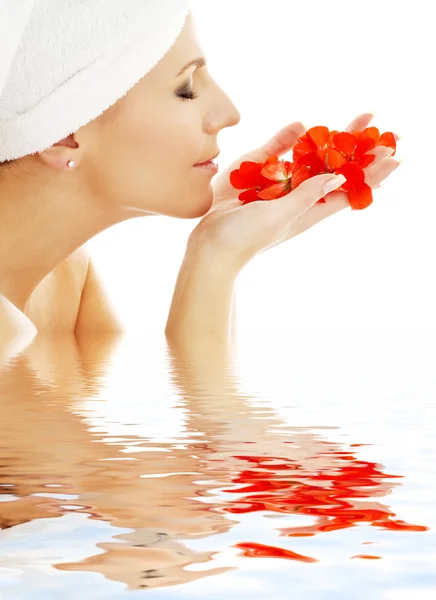 Petali rossi in acqua — Foto Stock