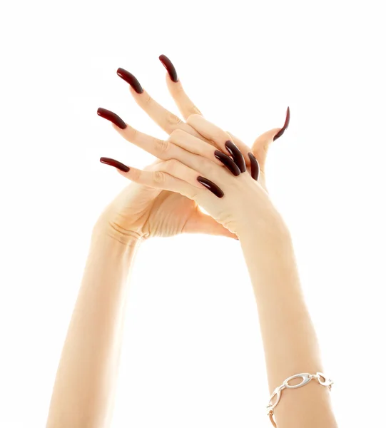 Χέρια με μακρά ακρυλικά νύχια — Φωτογραφία Αρχείου