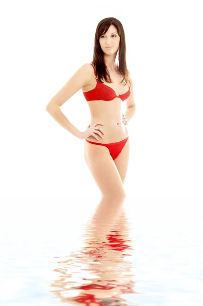 Kırmızı bikini esmer su — Stok fotoğraf