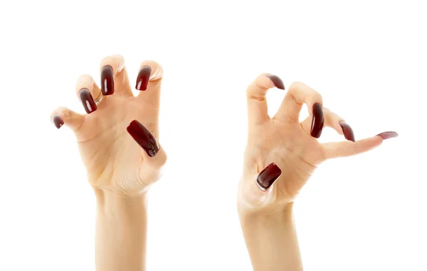 Agresywne ręce z długimi paznokciami — Zdjęcie stockowe