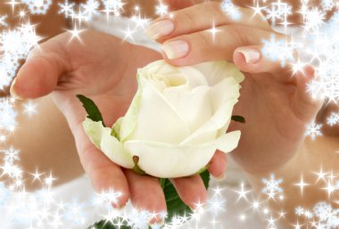 Rosebud with snowflakes clipart