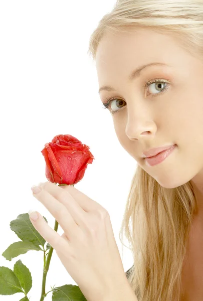 Romantyczne blond z czerwona róża — Zdjęcie stockowe