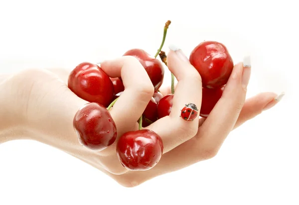 Hand full av röda körsbär — Stockfoto
