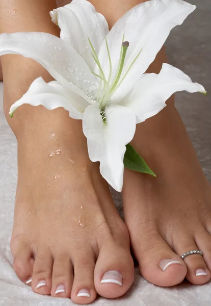 Feet with madonna lily — Stock Photo, Image