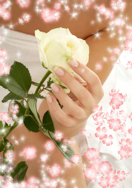 Bocciolo di rosa circondato da fiori — Foto Stock