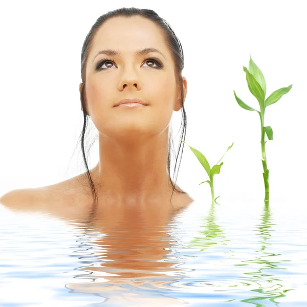 Lovely brunette with bamboo in water — Stock Photo, Image