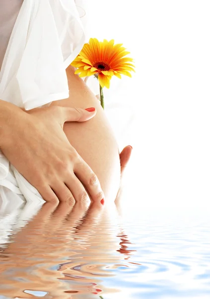 Těhotná žena drží její břicho a žlutá květina ve vodě — Stock fotografie