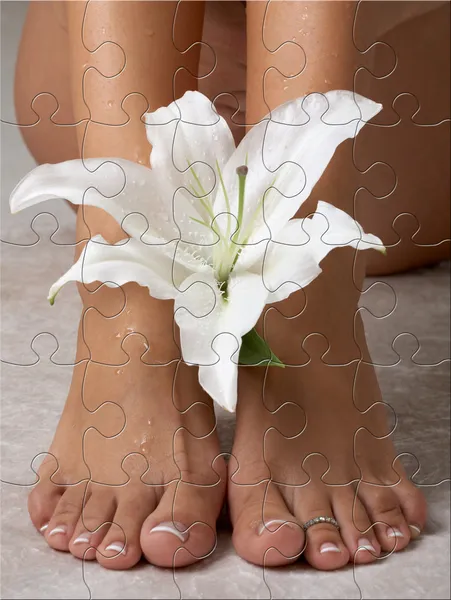 Lily puzzle — Stock Photo, Image