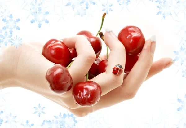 Рука, полная красной вишни — стоковое фото