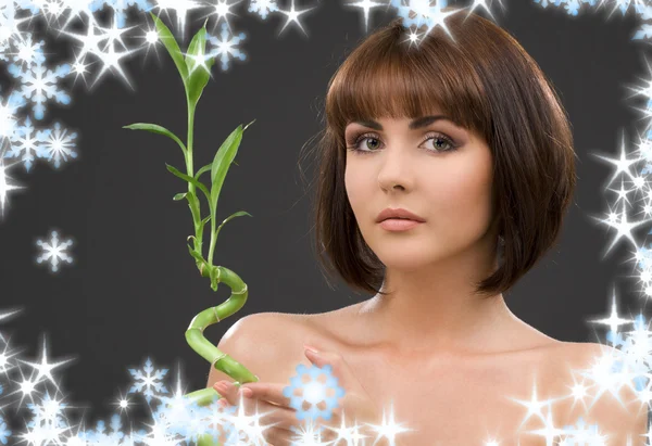 Brunette with bamboo over grey — Stock Photo, Image