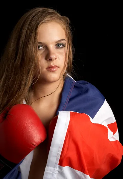 Boxer britannico — Foto Stock