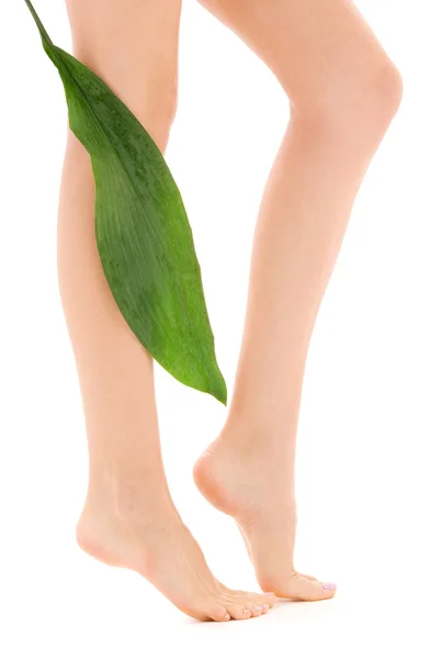 Weibliche Beine mit grünem Blatt — Stockfoto