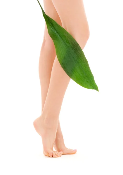 Gambe femminili con foglia verde — Foto Stock