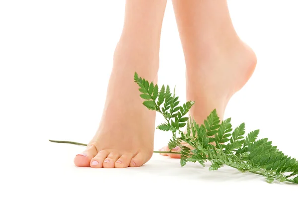 Kobiece stopy z zielonych liści — Zdjęcie stockowe