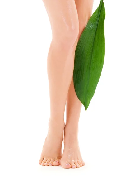 Female legs with green leaf — Stock Photo, Image