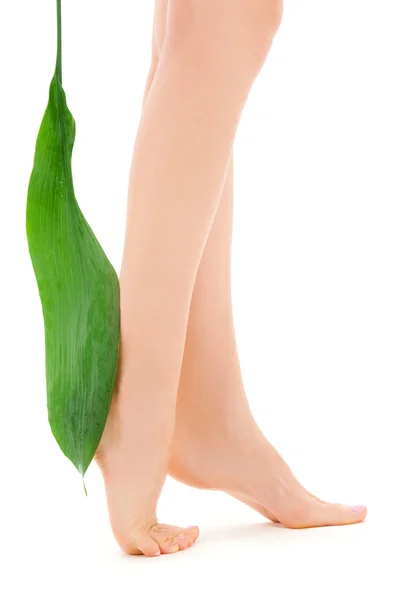 녹색 잎 여성 다리 — 스톡 사진