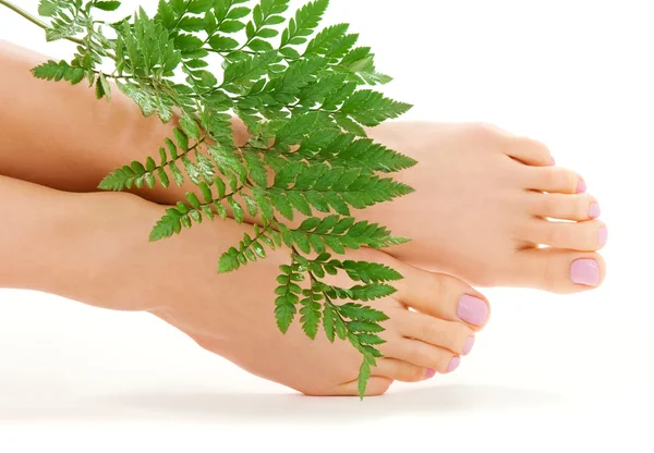 Vrouwelijke voeten met groen blad — Stockfoto
