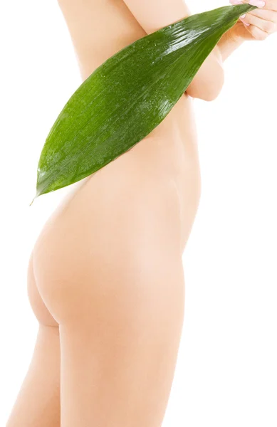 Weiblicher Torso mit grünem Blatt über weißem — Stockfoto