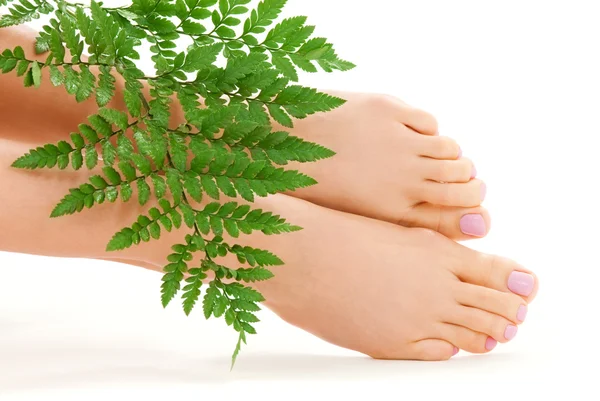 Female feet with green leaf — Stock Photo, Image