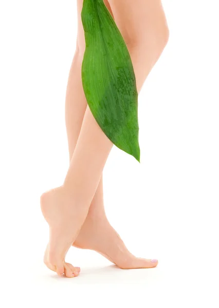 Женские ноги с зеленым листом — стоковое фото