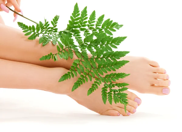 Kvinnliga fötter med grönt blad — Stockfoto