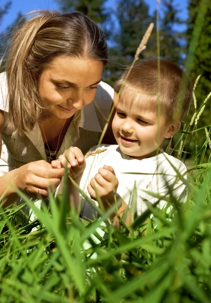 stock image Glean.