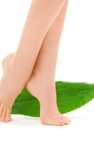 Női lábak zöld levél — Stock Fotó